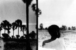 un enfant et des palmiers , série noir et blanc, au Sénégal, en 2000 © Photo Deborah Metsch